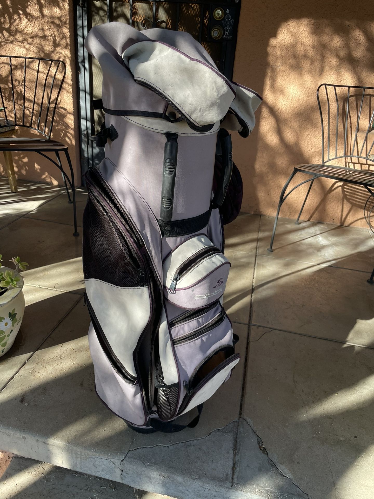 Cobra Golf Bag
