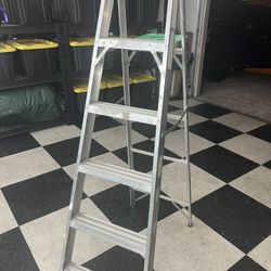 6ft Werner Ladder