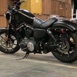 harley davidson 883 sportster
