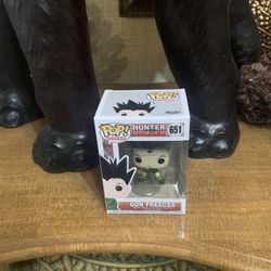 Hunter X Hunter Funko Pop Gon