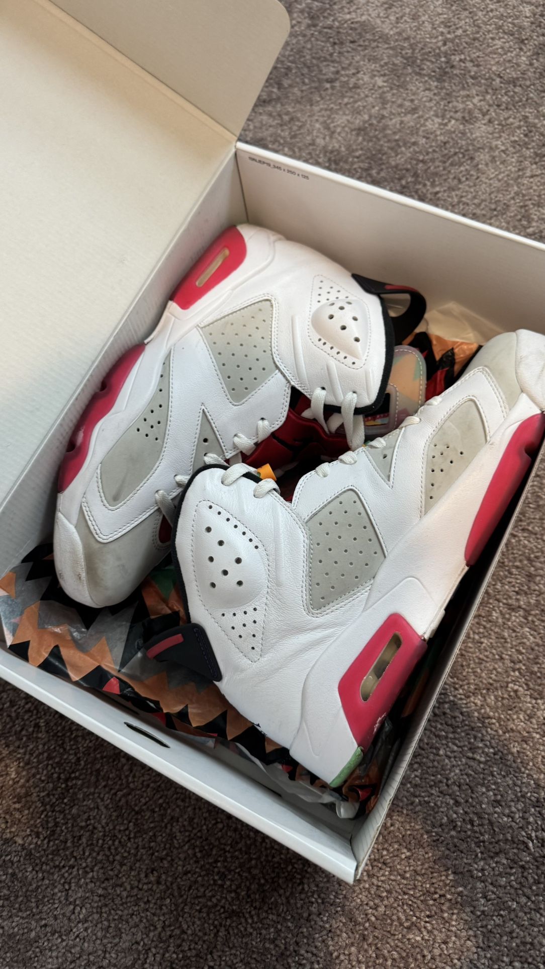 Jordan 6’s Hares