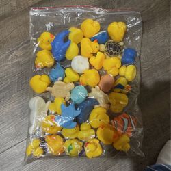 Bath & Pool Toys