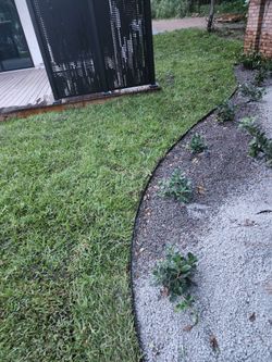 Sod green