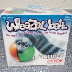 Weasel Ball For Cats Or Dogs Pickup Between 2:00-11:00 Pm Rainbow/Charleston Cash Only Read Description 