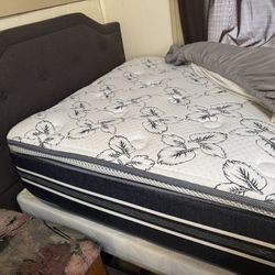 Twin Bed frame/Mattress/Box Spring-PRICE REDUCTION!!