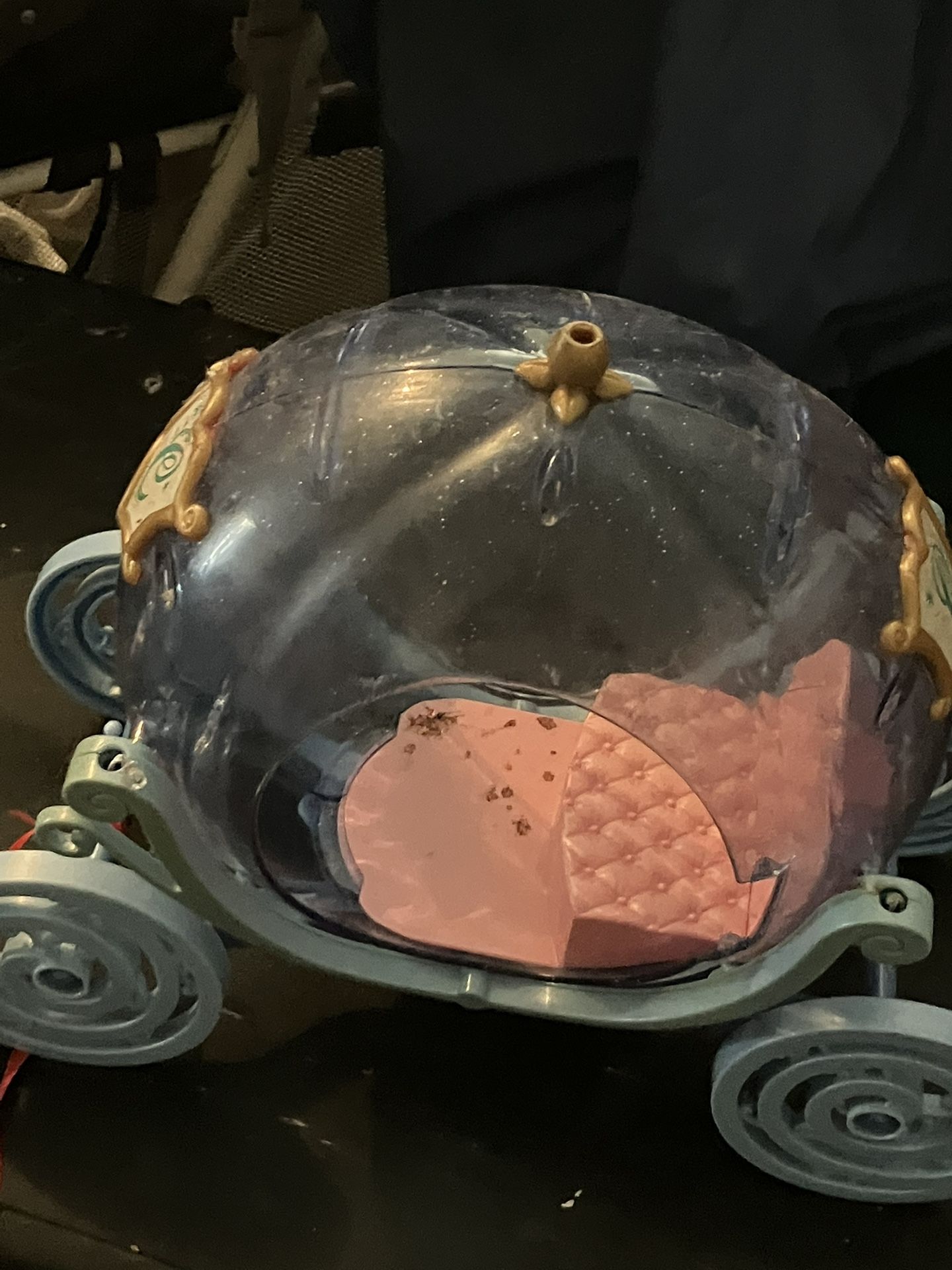  Cinderella pumpkin