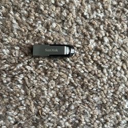 SanDisk Flash Drive (256 gb)