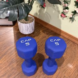 5lb Dumbells