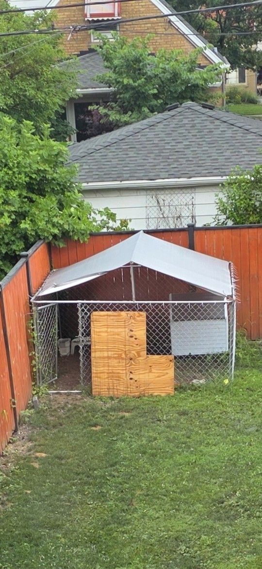 10 Ft X 10 Ft Dog Kennel