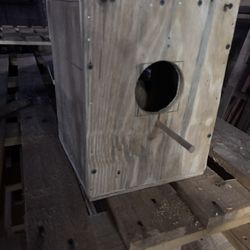 Bird Nesting Box