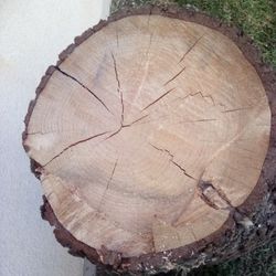  One Person  Wood Swings 