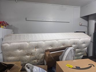 Free queen matress