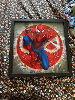 Spider-Man Picture