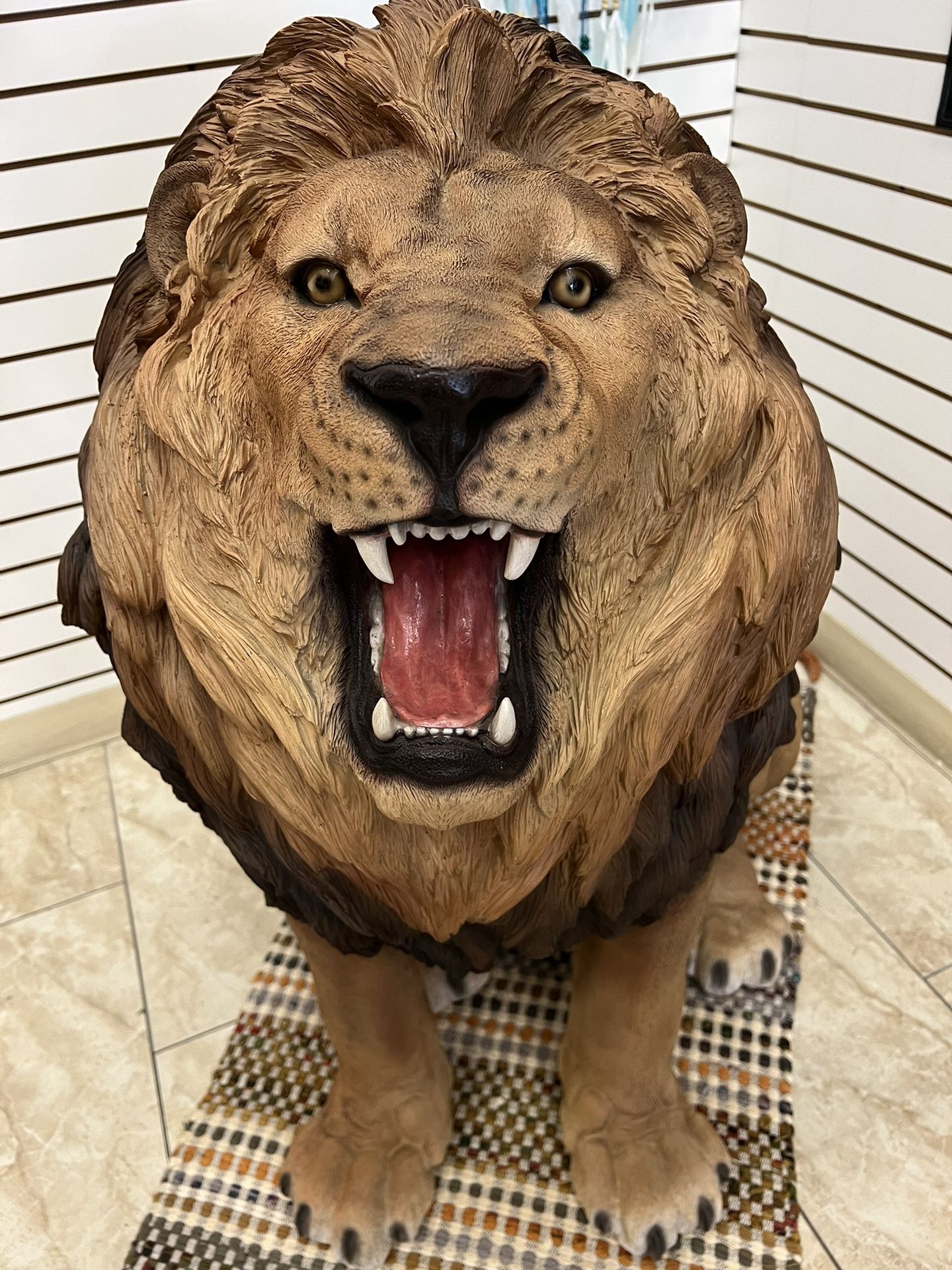 Lion Status 