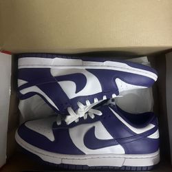 SB Nike Dunks Purple