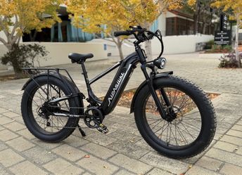 AiPAS  ADULTS ELECTRIC BIKE
