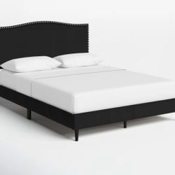 Queen Platform Bed
