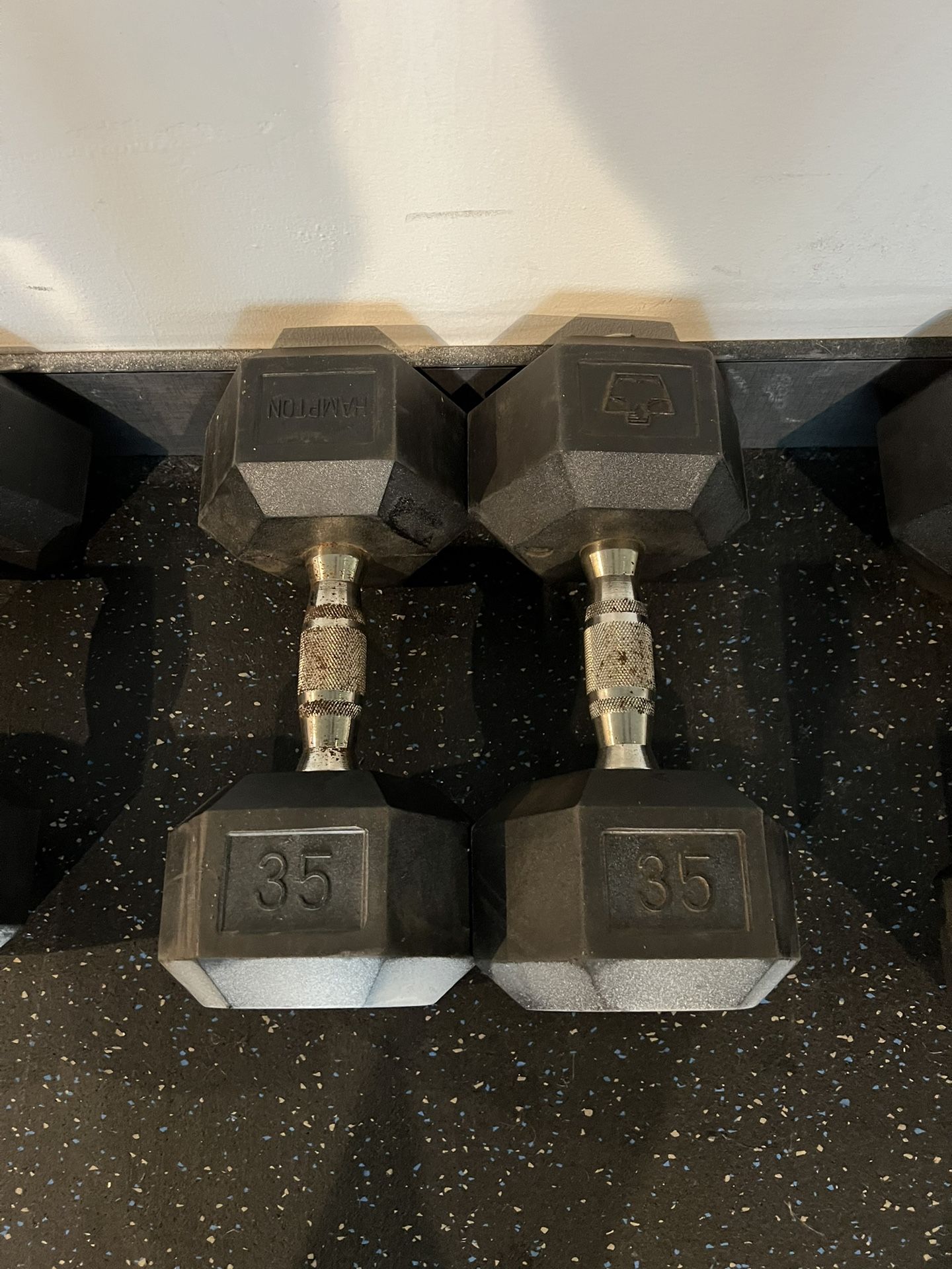 Hex Dumbbells 35lb