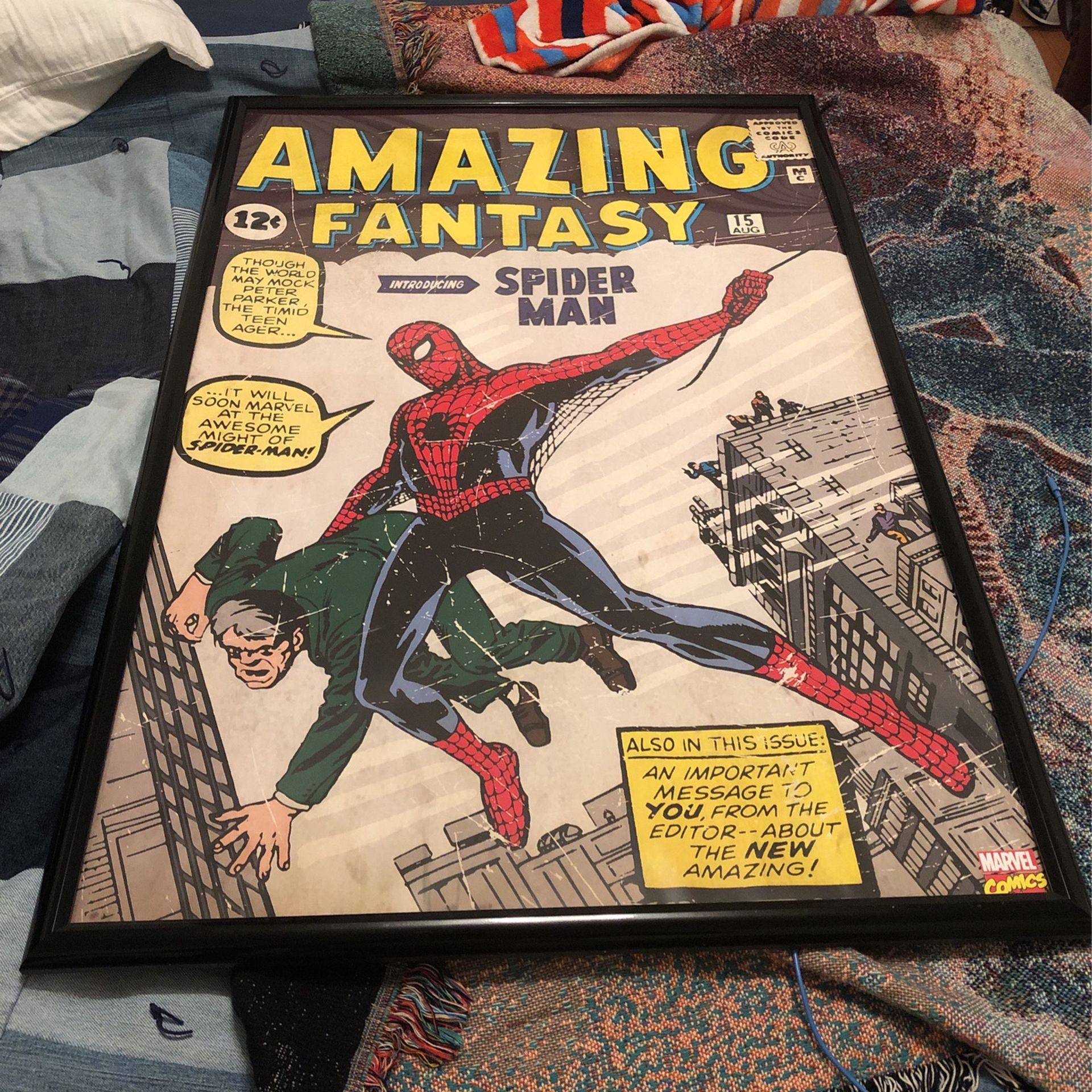 Spider-Man Framed Piece