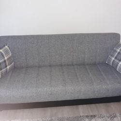 Loveseat + Couch Futon (Amazing condition!)