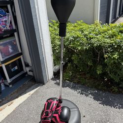 SPRING LOADED PUNCHING BAG WITH NEW GLOVES