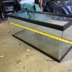 Glass Fish Tank 