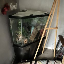75 Gallon Tank And Stand