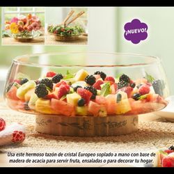 TAZON PRINCESS HOUSE