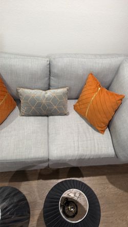 Couch / love seat