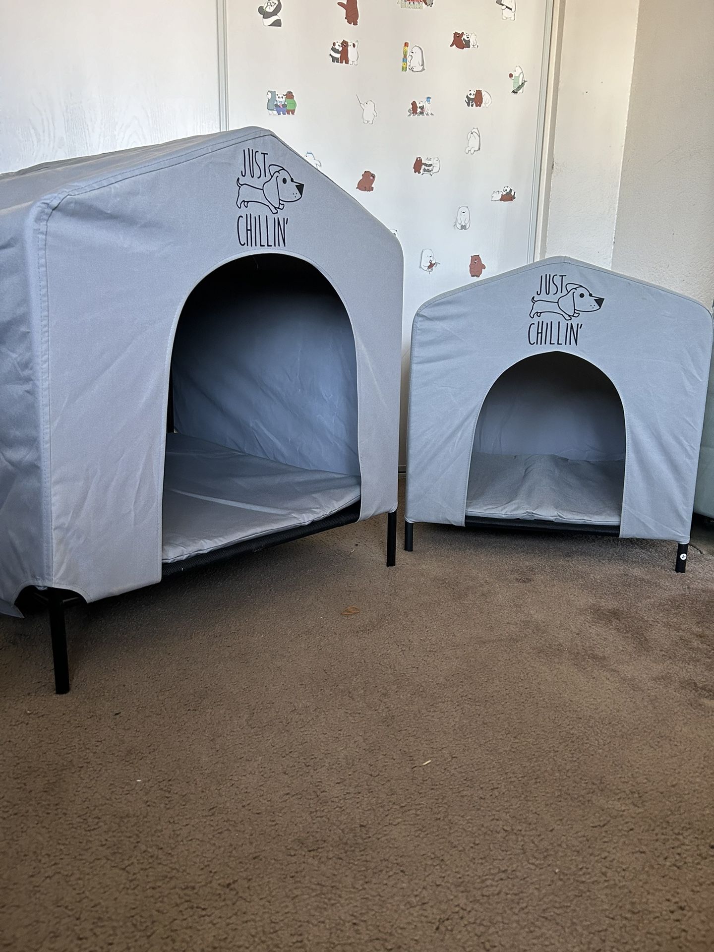 Dog House