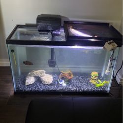 29 Gallon Fish Tank