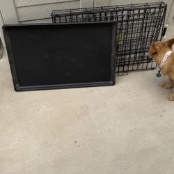 Top Paw Double Door Foldable Wire Dog Crate 