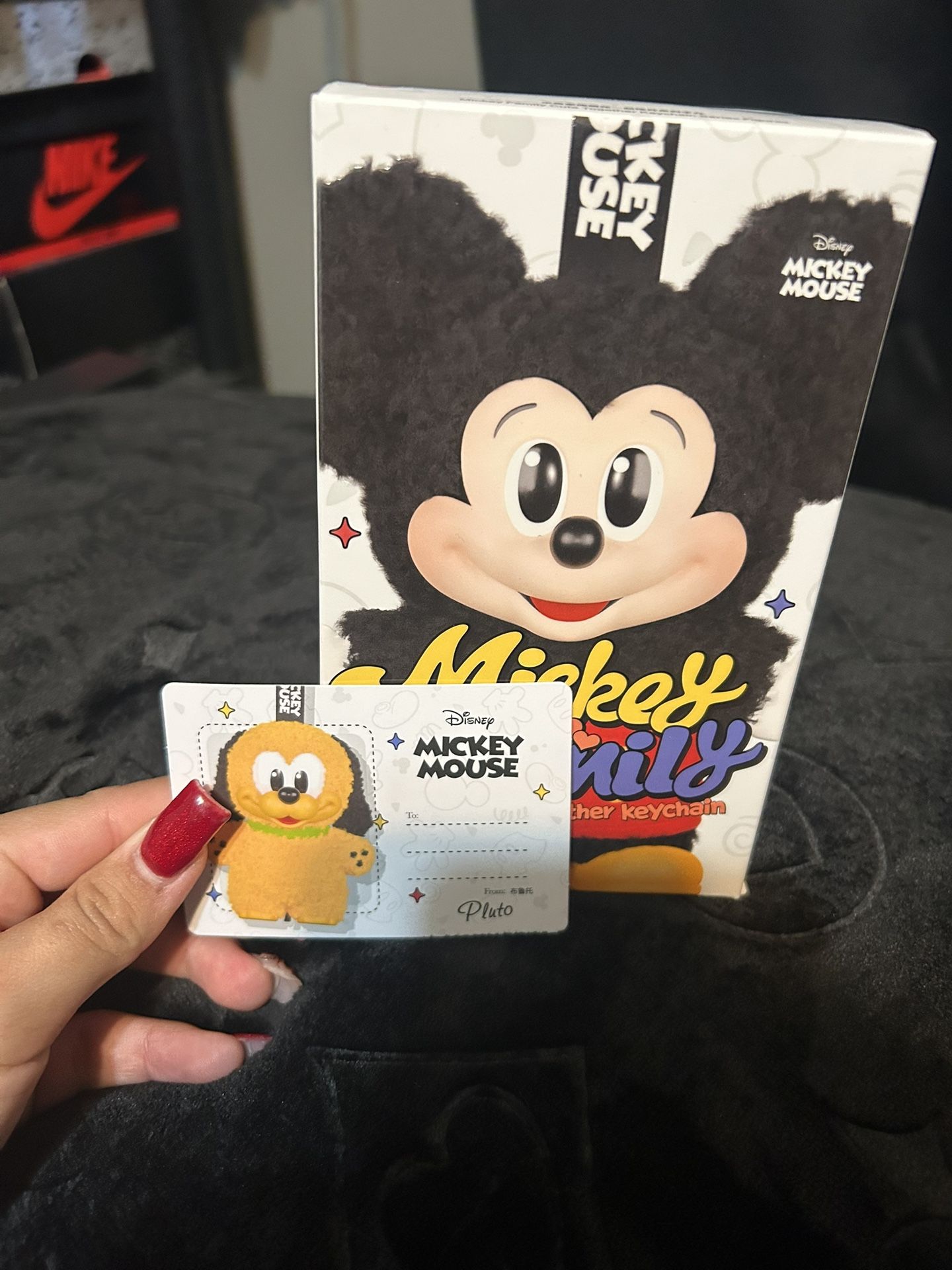 Mickeys Family