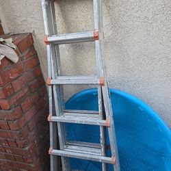 Ladder
