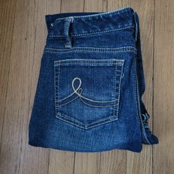 Ann Taylor LOFT 6P Women's Slim Boot Low Rise Distressed Jeans Casual Pants 