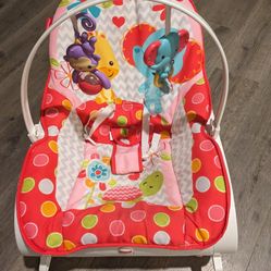 Fisher Price Infant To Toddler Seat