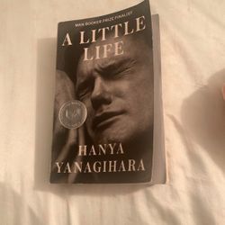 A Little Life By Hanya Yanagihara