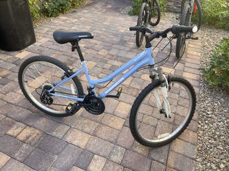 roadmaster granite peak 24 light blue