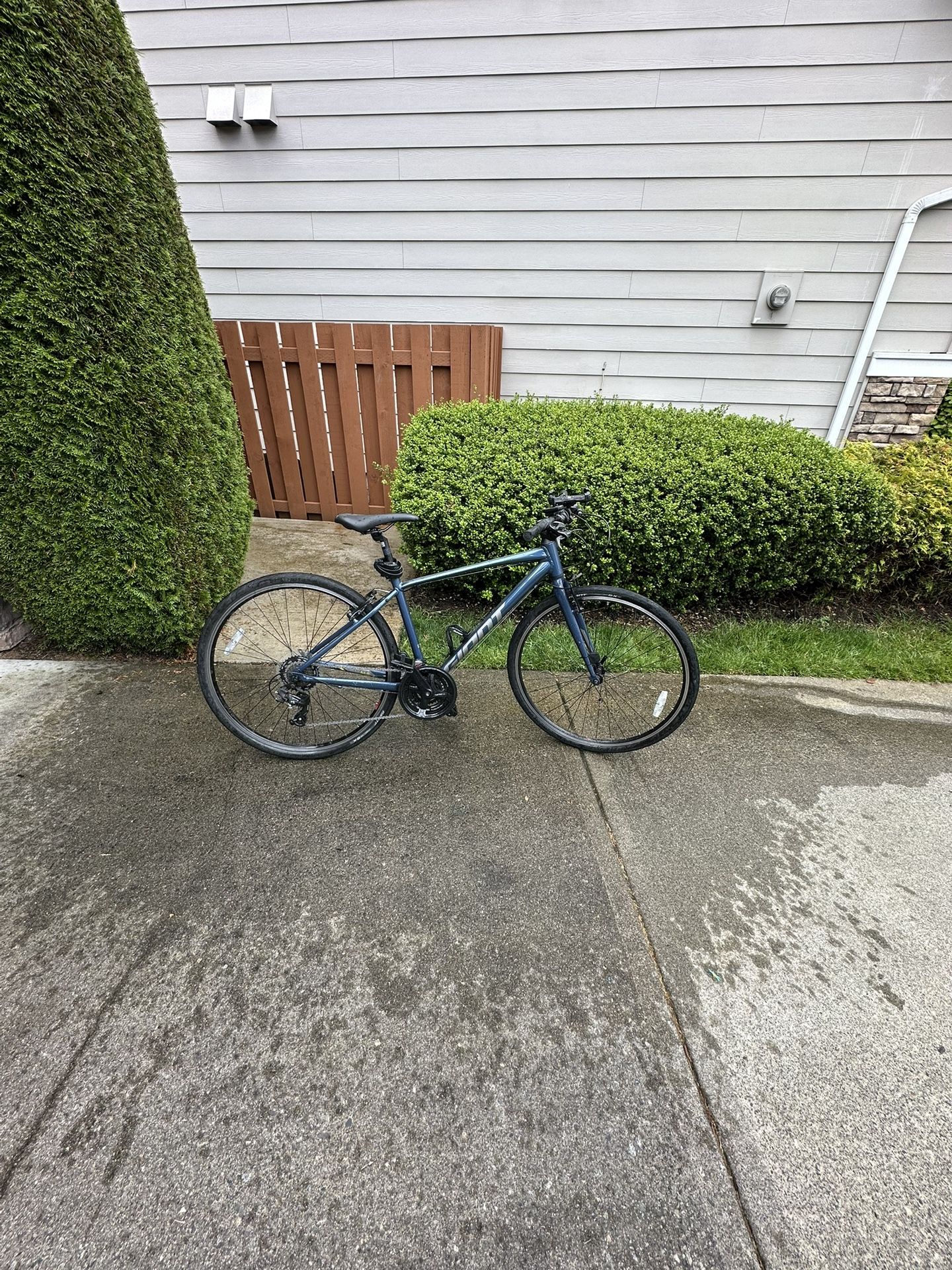 Giant Escape Disc 21 Speed