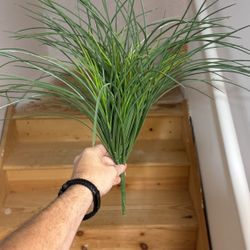 Monkey Grass (faux Plastic)