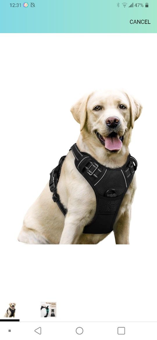 Rabbitgo Dog Harness No Pull Size XL