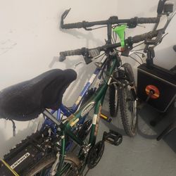 A Pair Of BICYCLES..One Lady's One Man's