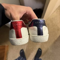 Gucci Aces
