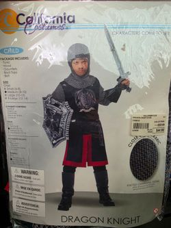 Dragon Knight Costume