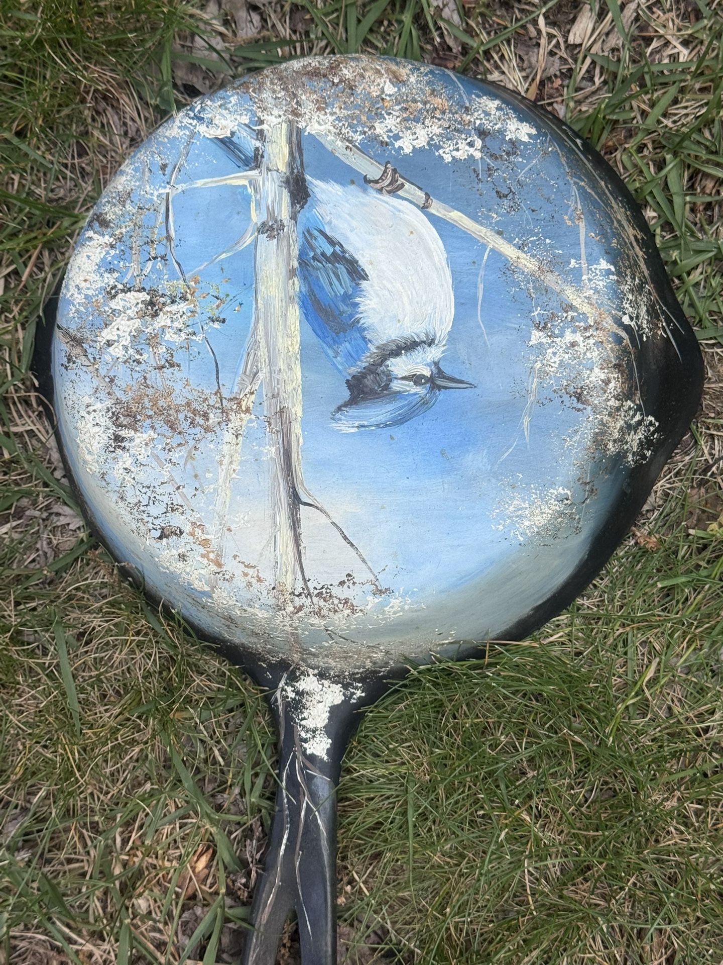Iron Skillet
