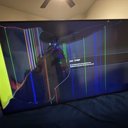 Broken 65 Inch Vizio Smart TV 