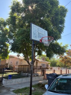 Basketball court