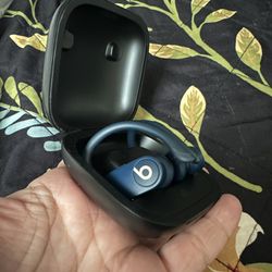 Beats by Dr. Dre Powerbeats Pro Bluetooth True Wireless Earbuds with Charging Case
