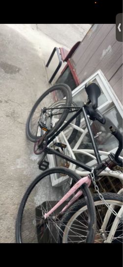 Se fixie