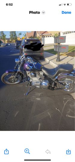 Harley Davidson softail